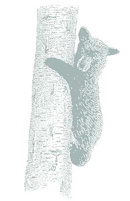 Meet the Staff at Discovery Exhibits