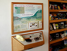 Visitors can touch a rattlesnake model and push a button to hear an audio of a rattlesnake giving its warning.