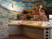 This diorama is surrounded by a band of interpretive panels which contains six different interactive elements 