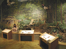 Discovery Exhibits: Saluda Shoals Enviromental Center