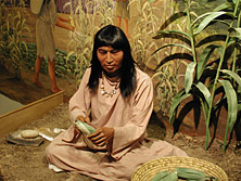 Discovery Exhibits: Saluda Shoals Enviromental Center