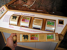 At this exhibit visitors rotate cylinders to line up any  of four animals with their range, foods and habitat.  The four-sided answer stick in the foreground shows the correct combination for the bear.