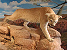 Discovery Exhibits, Lory State Park