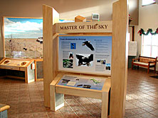 This side of the bald eagle exhibit has a visitor-activated audio of an eagle call.