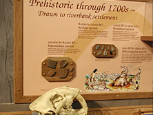 Discovery Exhibits: Saluda Shoals Enviromental Center