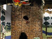 Discovery Exhibits: Saluda Shoals Enviromental Center