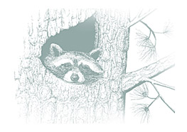  Discovery Exhibits provides interpretive planning and exhibit design for visitor centers, nature centers, museums and trails.