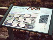 Dimensional exhibit with quiz